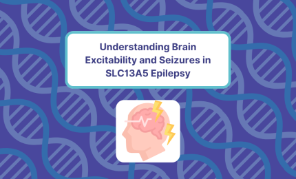 Understanding Brain Excitability and Seizures in SLC13A5 Epilepsy