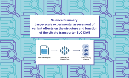 Science Summary: Large-scale experimental assessment of variant effects on the structure and function of the citrate transporter SLC13A5